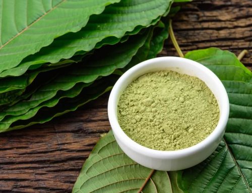 Everything You Need to Know About Kratom